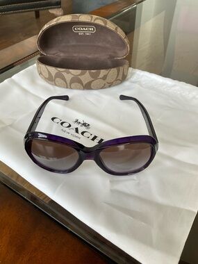 Coach Purple and Brown Gradient Oversized Women's Sunglasses